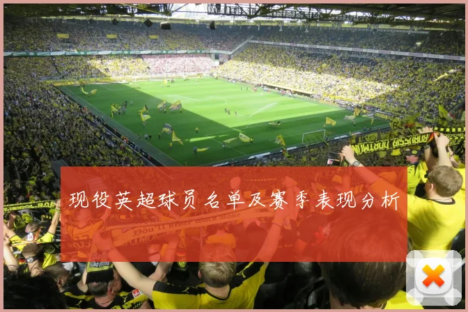 现役英超球员名单及赛季表现分析